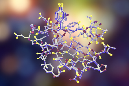 ペプチド(Peptide)